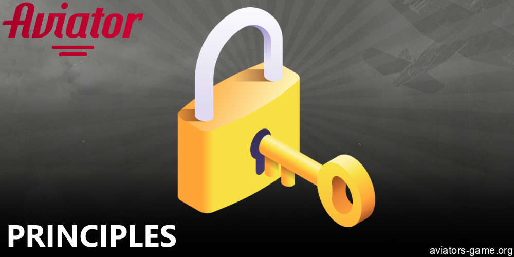 Aviator privacy policy principles in India