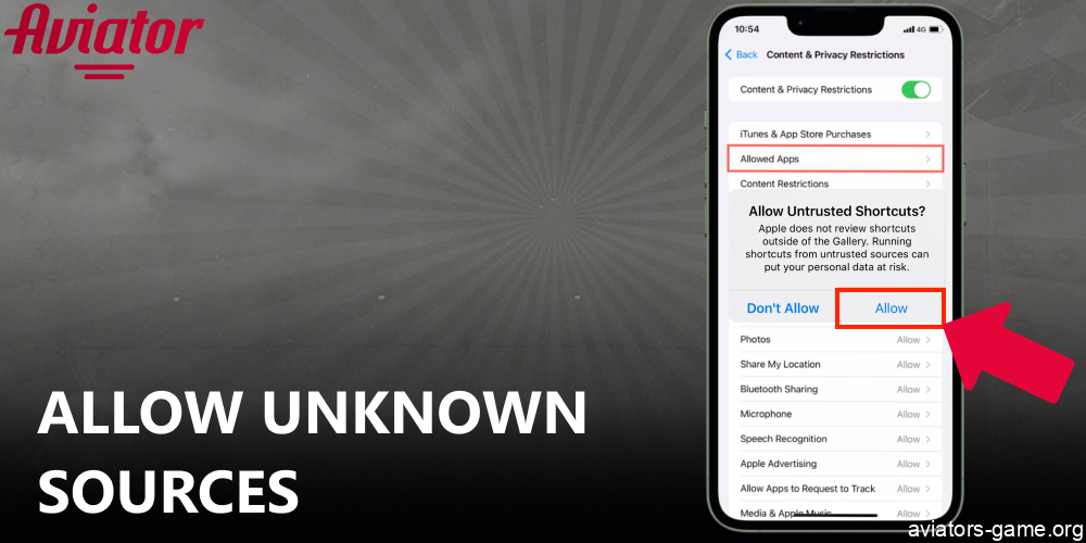 Allow unknown sources on iOS to install the Aviator app